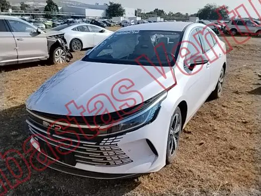 BYD KING 2025, foto 1 de 19