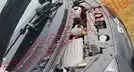 BYD DOLPHIN 2026, foto 11 de 19