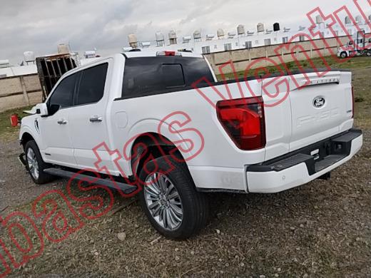 FORD LOBO 2025, foto 8 de 19