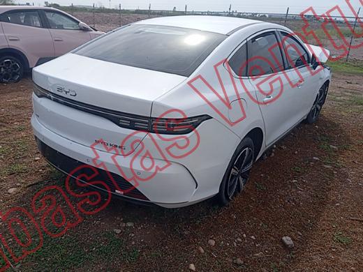 BYD KING 2025, foto 5 de 19