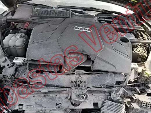 AUDI Q7 2021, foto 10 de 19