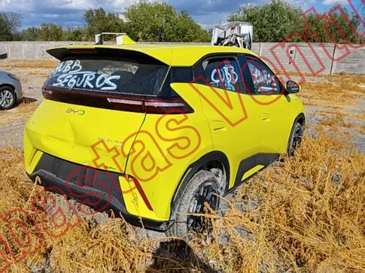 BYD DOLPHIN 2026, foto 5 de 19