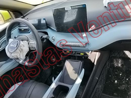 BYD DOLPHIN 2026, foto 14 de 19