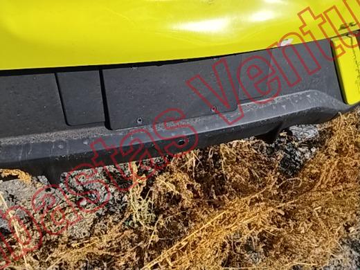 BYD DOLPHIN 2026, foto 19 de 19