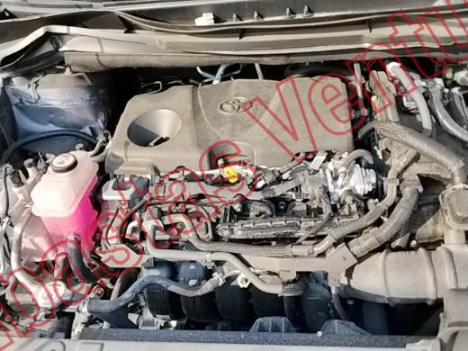 TOYOTA SIENNA 2024, foto 10 de 19
