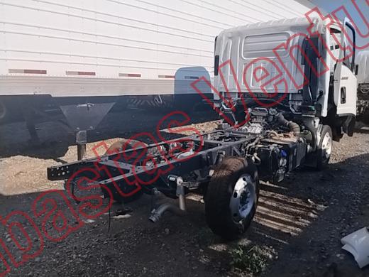 ISUZU ELF  2026, foto 5 de 19