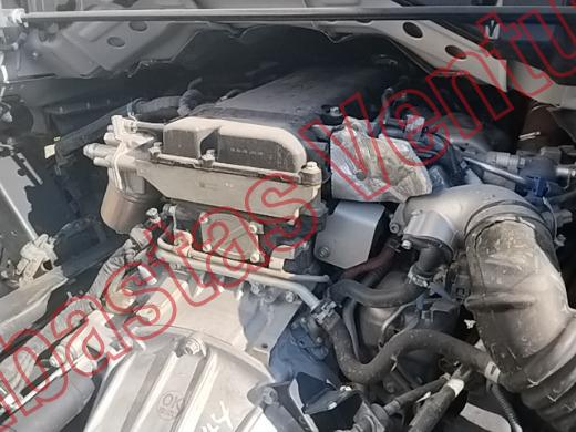 ISUZU ELF  2026, foto 10 de 19