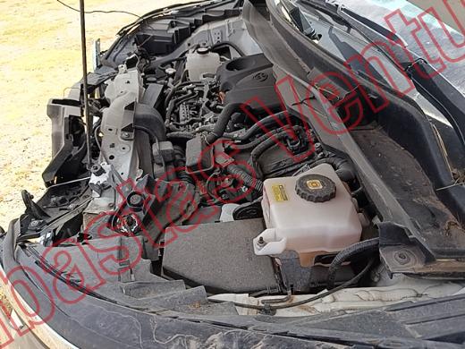 TOYOTA SIENNA 2022, foto 9 de 19