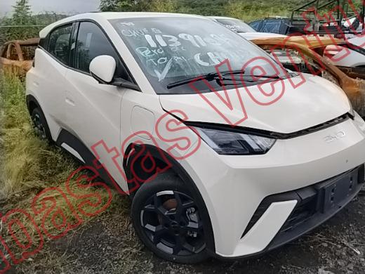 BYD DOLPHIN 2026, foto 3 de 19