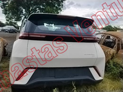 BYD DOLPHIN 2026, foto 6 de 19