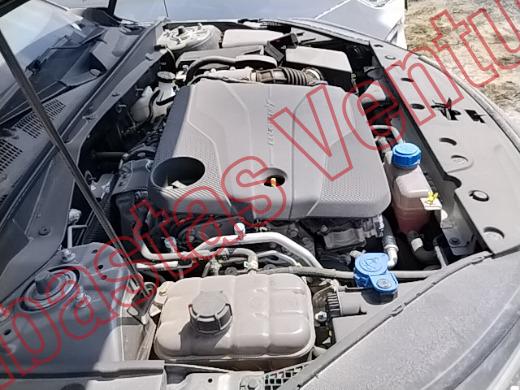 CHANGAN EADO PLUS  2026, foto 11 de 19