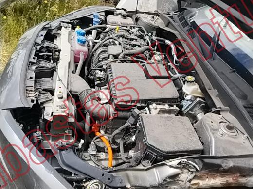 CHANGAN EADO PLUS  2026, foto 9 de 19