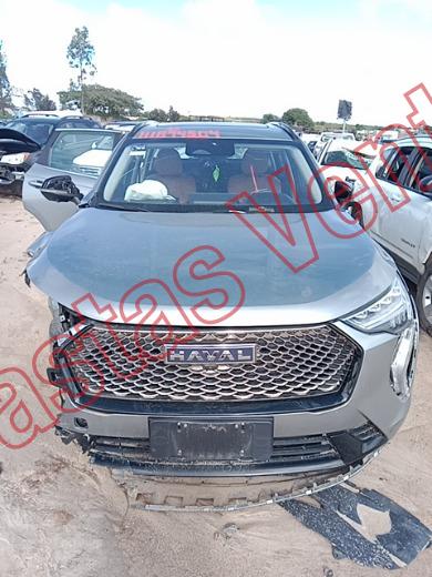 GWM HAVAL 2025, foto 2 de 19