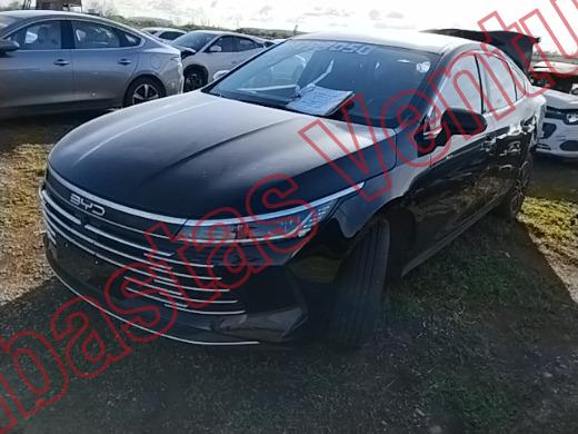BYD KING 2026, foto 1 de 19