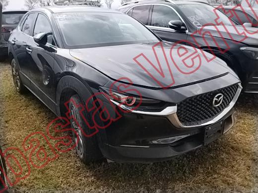 MAZDA CX30 2025, foto 4 de 19