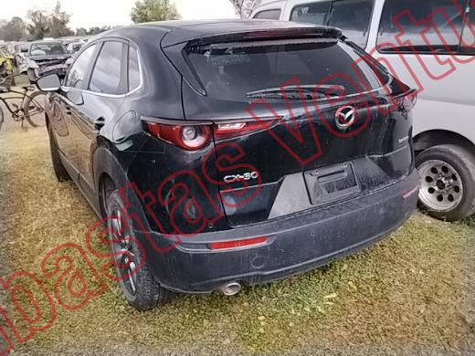 MAZDA CX30 2025, foto 7 de 19