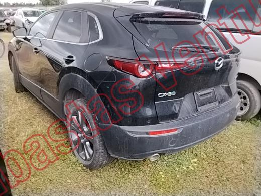 MAZDA CX30 2025, foto 8 de 19