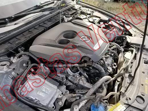 MAZDA MAZDA 3 2025, foto 11 de 19