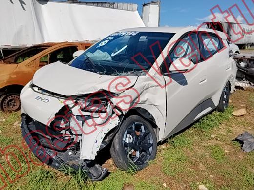 BYD DOLPHIN 2026, foto 1 de 19