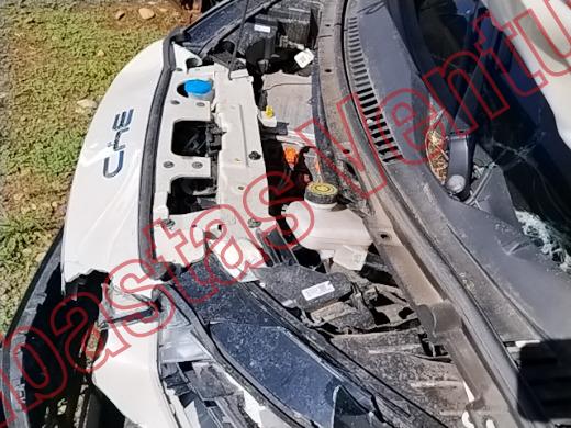 BYD DOLPHIN 2026, foto 9 de 19