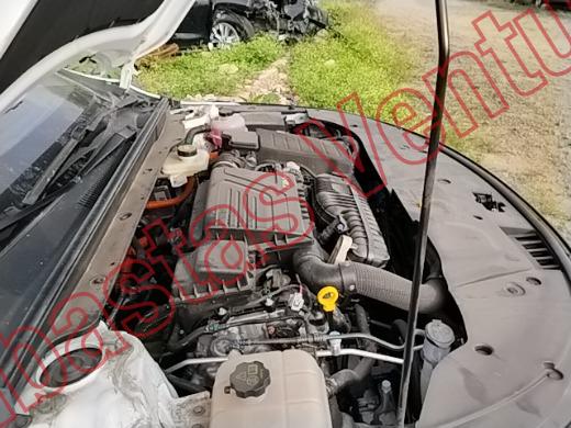 BYD KING 2026, foto 11 de 19