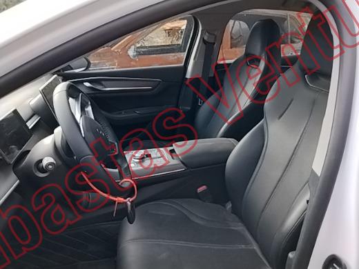 BYD KING 2026, foto 17 de 19