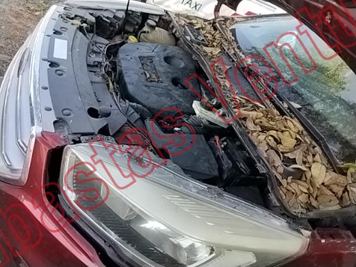 FORD ESCAPE 2018, foto 9 de 19