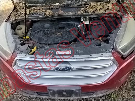 FORD ESCAPE 2018, foto 10 de 19