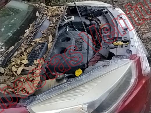 FORD ESCAPE 2018, foto 11 de 19