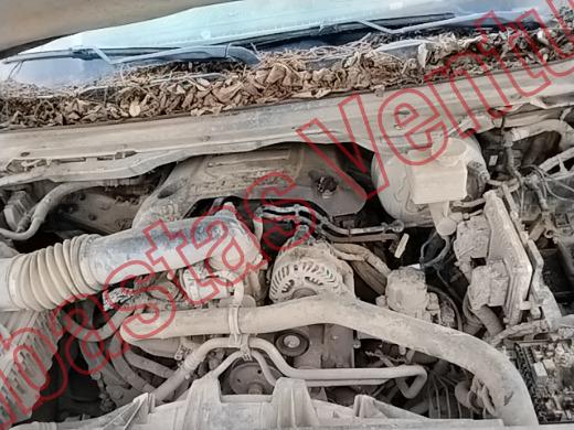 RAM RAM 1500 2019, foto 10 de 19
