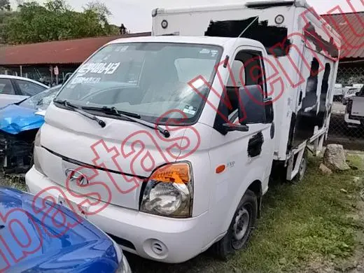 DODGE H100 2010, foto 1 de 19