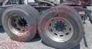 FREIGHTLINDER NEW CASE EUROV 2020, foto 8 de 19