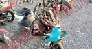 ITALIKA D-125 2023, foto 3 de 19
