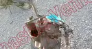 ITALIKA D-125 2023, foto 14 de 19