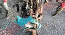 ITALIKA D-125 2023, foto 18 de 19