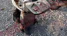 ITALIKA D-125 2023, foto 19 de 19