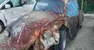 VOLKSWAGEN SEDAN 1992, foto 1 de 19