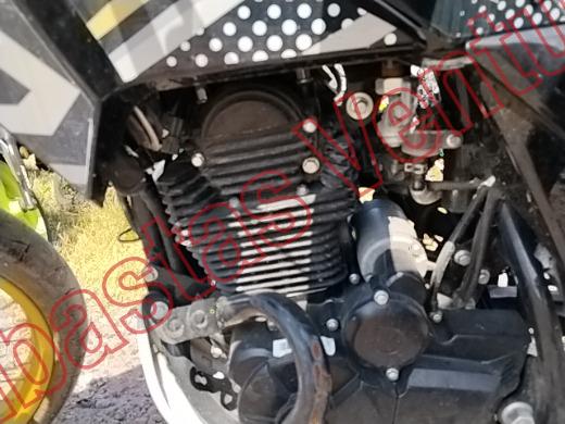 ITALIKA DM300 2025, foto 9 de 19