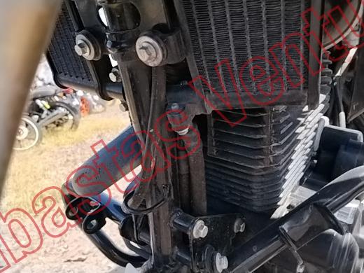 ITALIKA DM300 2025, foto 10 de 19