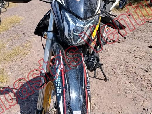 ITALIKA DM300 2025, foto 18 de 19