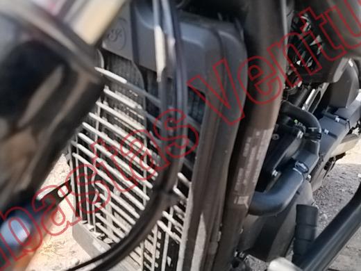 INDIAN SCOUT 2026, foto 10 de 19
