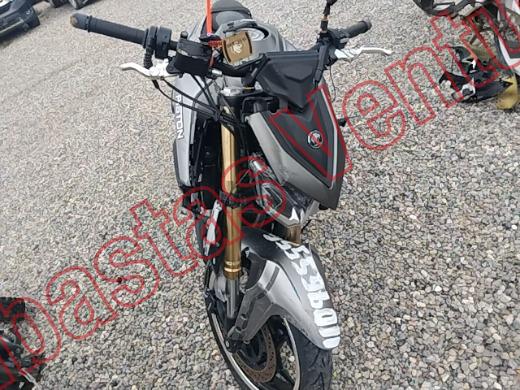 AMÉRICA PISTÓN R  2026, foto 2 de 19