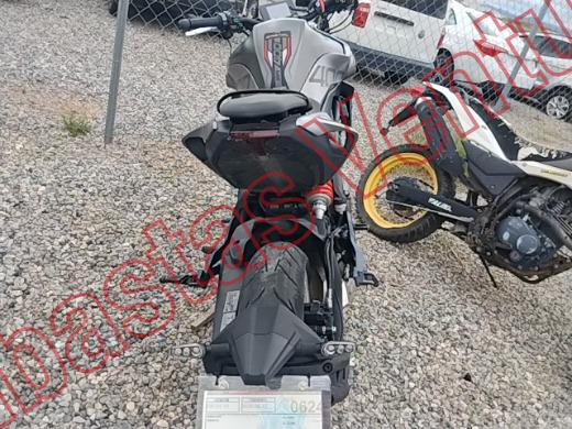 AMÉRICA PISTÓN R  2026, foto 6 de 19