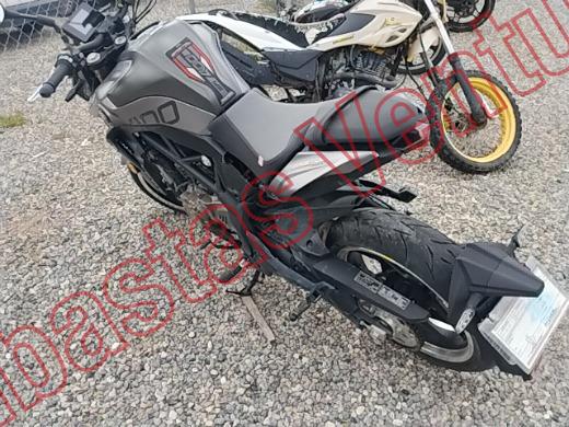 AMÉRICA PISTÓN R  2026, foto 7 de 19