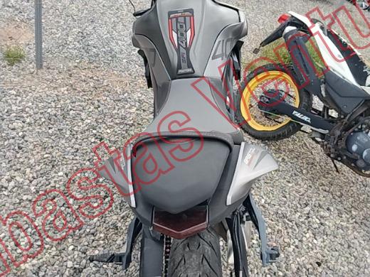 AMÉRICA PISTÓN R  2026, foto 15 de 19