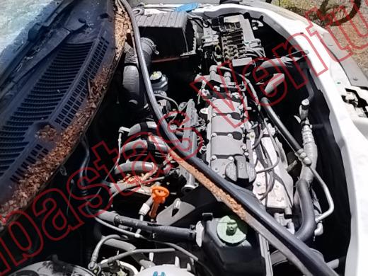 VOLKSWAGEN GOL 2014, foto 11 de 19