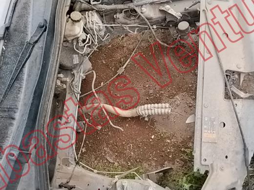 MG 5 2023, foto 11 de 19