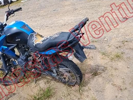 ITALIKA 125Z 2024, foto 16 de 19