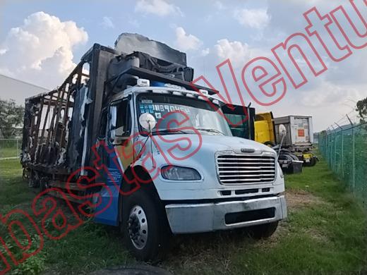 FREIGHTLINDER M2 2022, foto 3 de 19