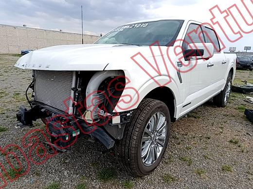 FORD LOBO 2025, foto 1 de 19